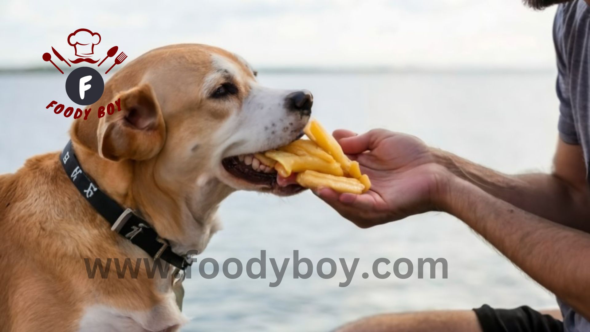 Can Dogs Eat Sweet Potato Fries