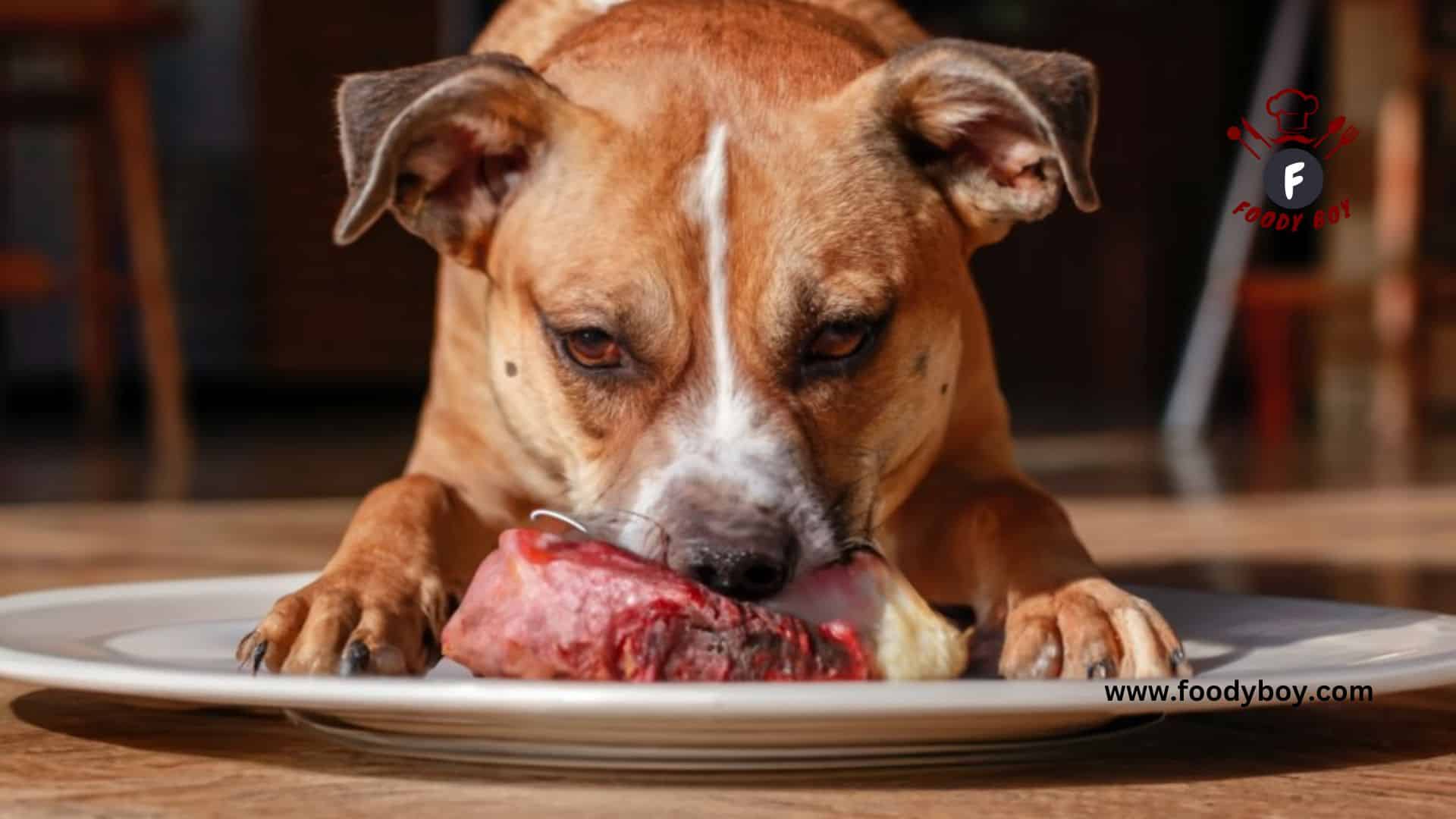 Can Dogs Eat Organ Meats